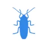 Уничтожение тараканов в Барвихе